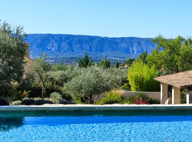 Mas des Bouillons  Mas des Bouillons