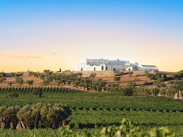 Partner hotels Partner hotels