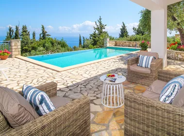 Monodendri Blue Monodendri Blue