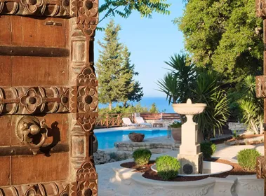 Purple Apricot Hotel Purple Apricot Hotel